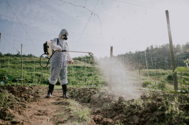 Best Affordable Pest Control Services  in Warrenton, OR
