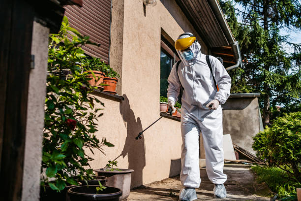 Best Wasp Removal Services  in Warrenton, OR