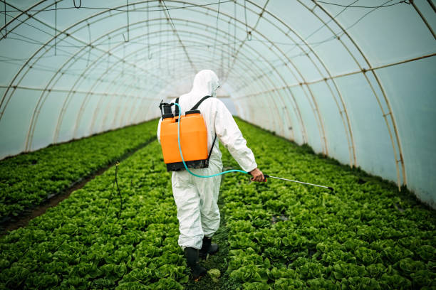 Best Best Pest Control Companies  in Warrenton, OR