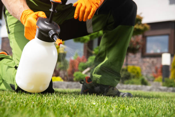 Best Pest Control Near Me  in Warrenton, OR