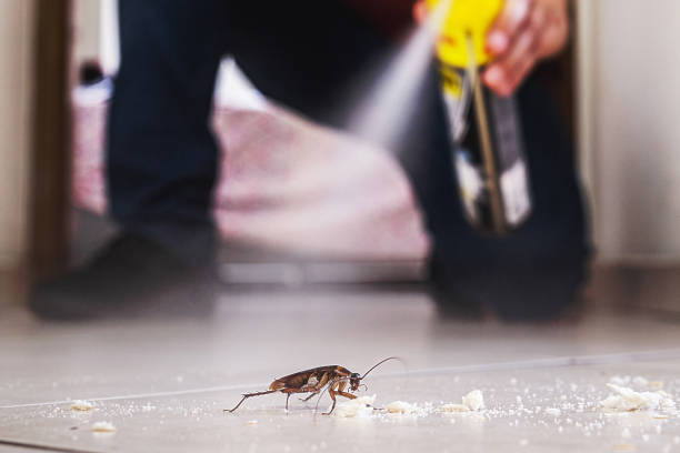 Best Pest Prevention Services  in Warrenton, OR