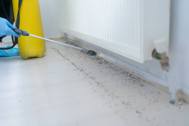 Best Pest Inspection Near Me  in Warrenton, OR