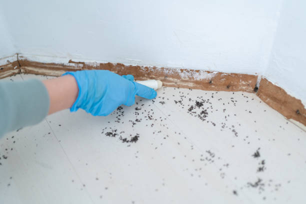 Warrenton, OR Pest Control Company